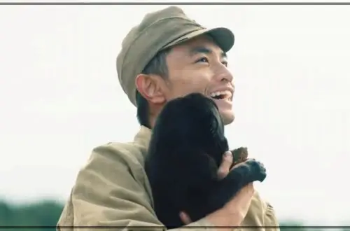 人毛100%ウィッグ総手植えつむじ地肌✨中島健人❣️さら艶髪！